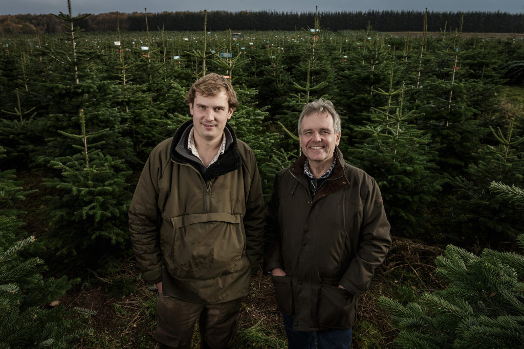 2 men surrounded by Christmas trees