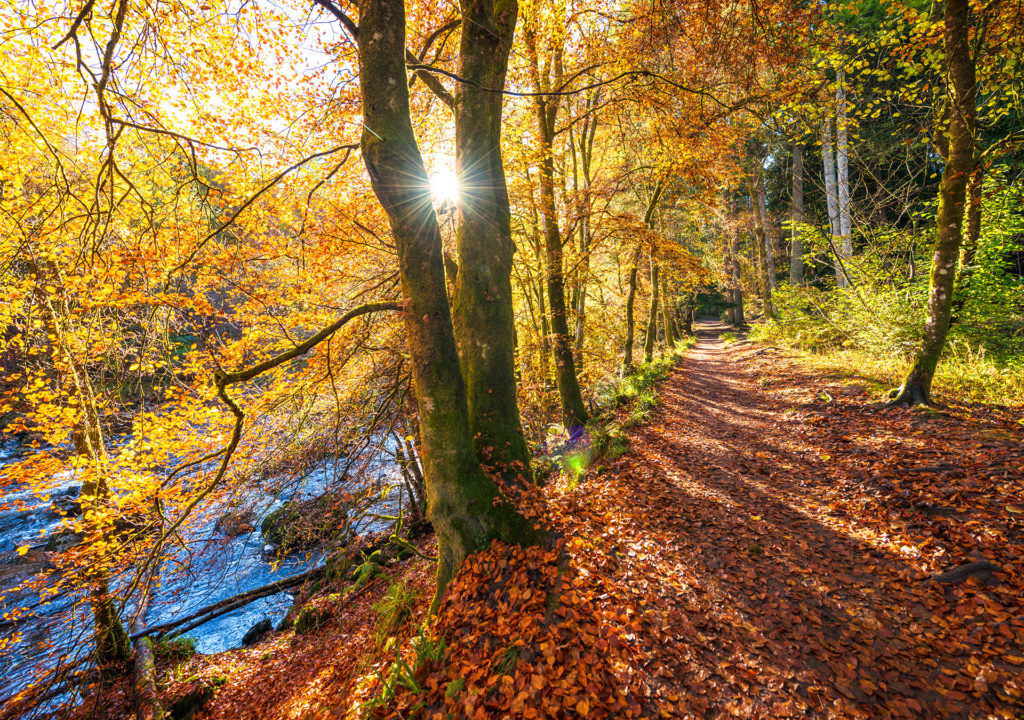 Beautiful Scottish riverside footpath in autumn