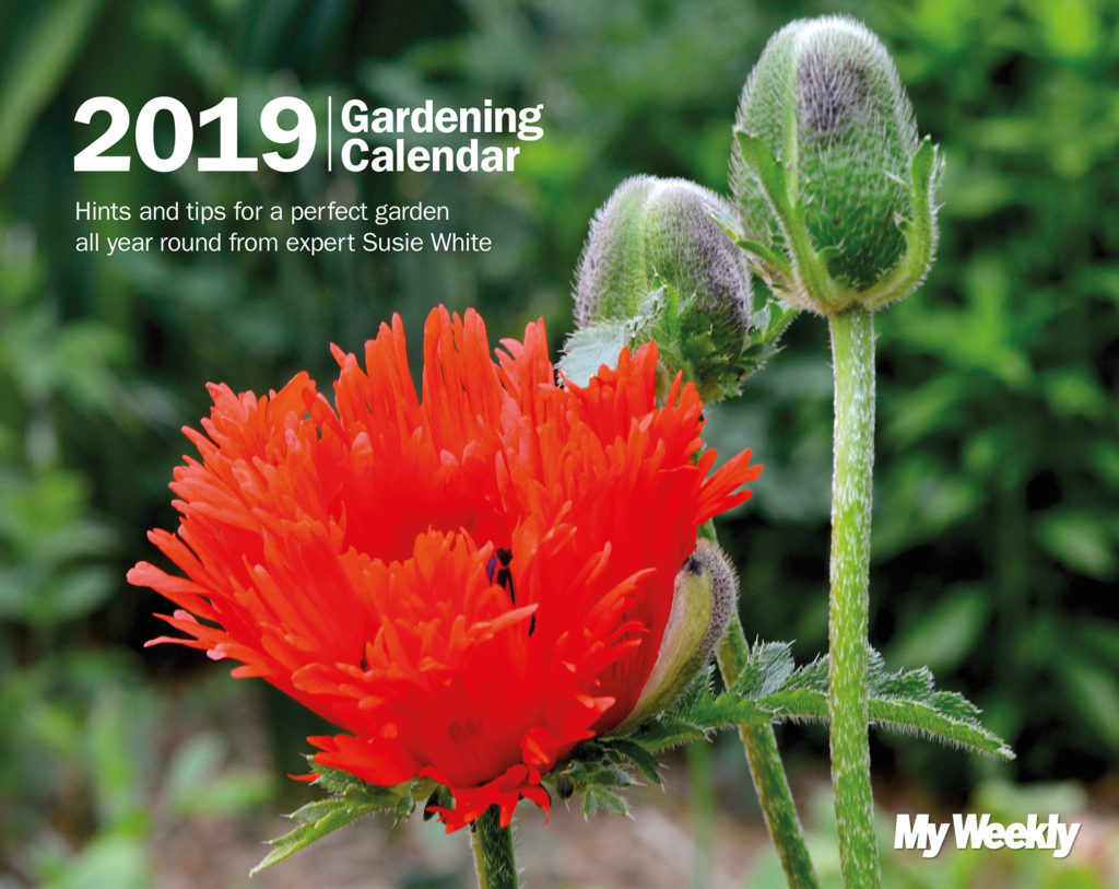 My Weekly Gardening Calendar 2019