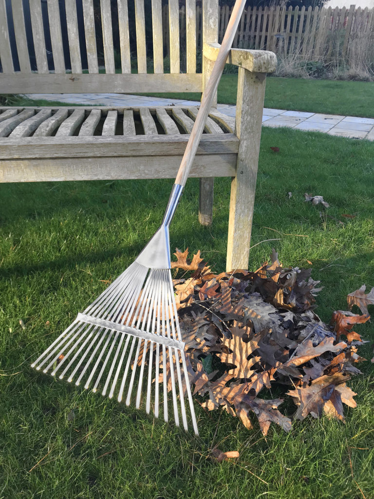 Garden rake with pile of leaves