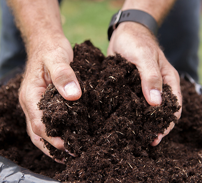 Man with hands in compost Pic: Istockphoto