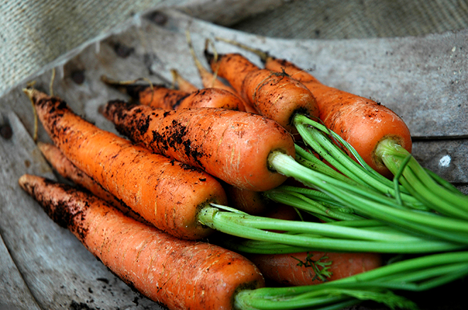 Freshly pulled carrots Pic: Istockphoto