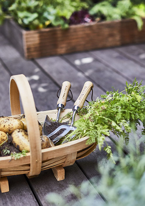 potatoes in a trug