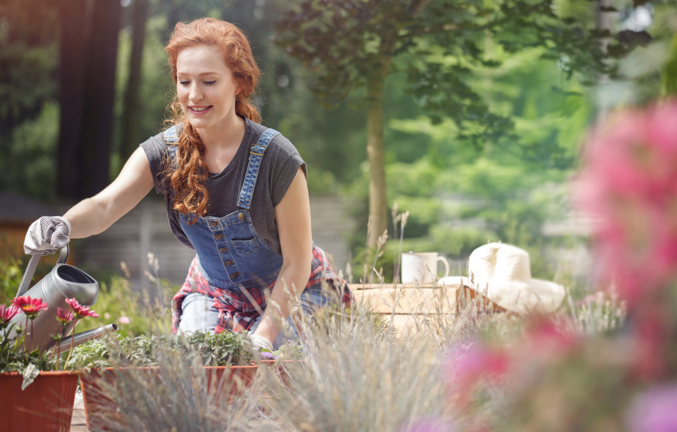 Smiling woman in jean dungarees and gloves on hands watering red flowers on terrace on sunny day