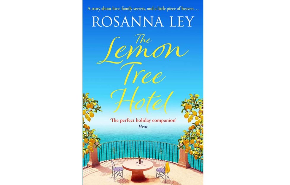 The Lemon Tree Hotel book cover