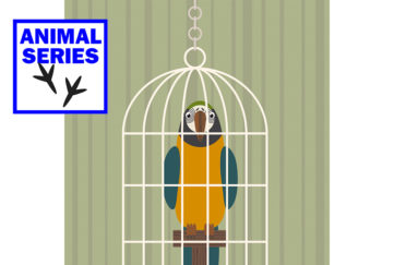 Digital cartoon of a yellow and blue parrot in a cage, looking wily Pic: Rex/Shutterstock