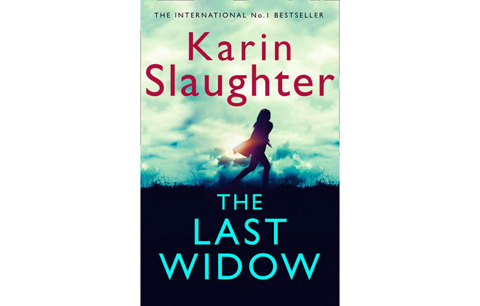 The Last Window book cover