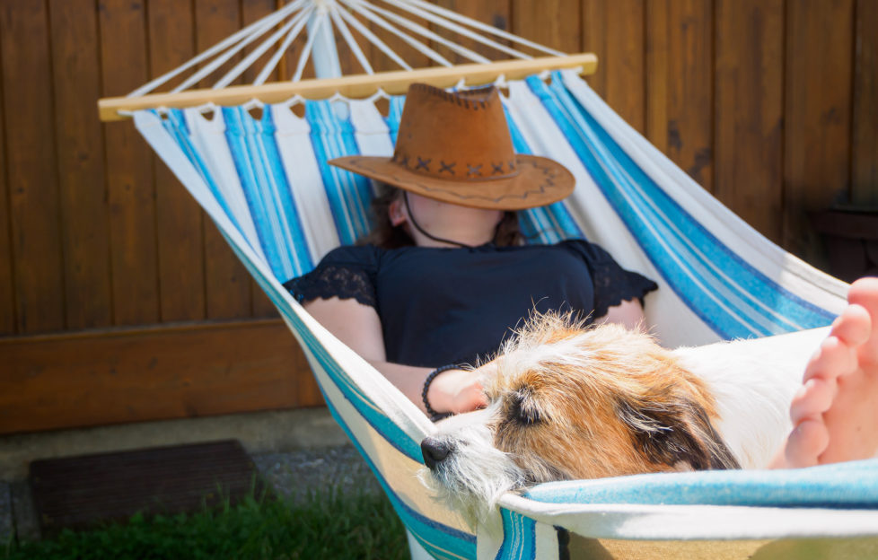 Woman, mongrel dog, hammock, summer, taking a break, vacation, vacation, sun hat, heat, shadow