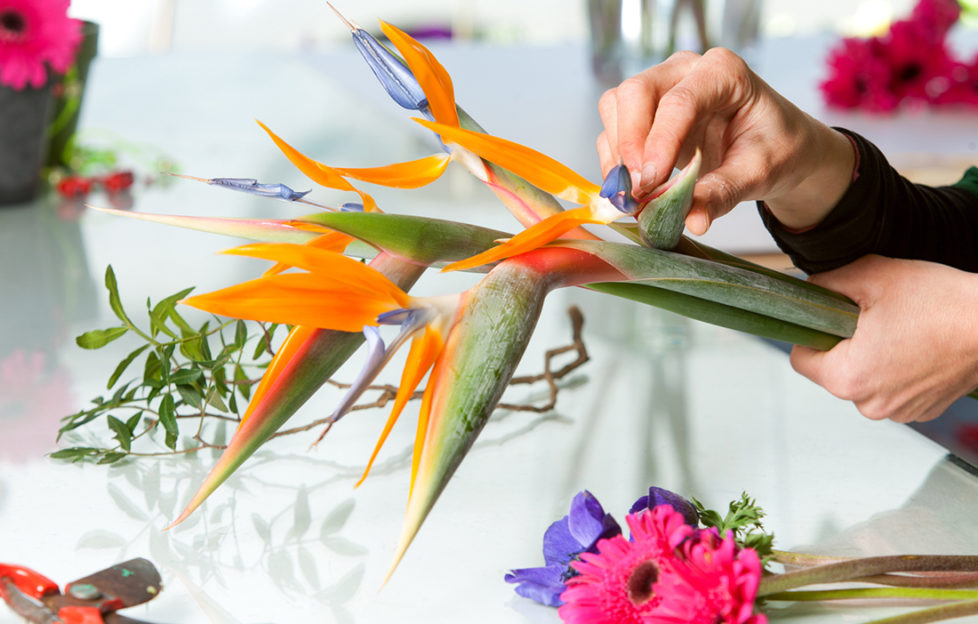 Bird of Paradise flowers, floristry classes Pic: Istockphoto