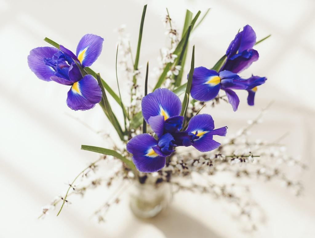 Irises on table Pic: Istockphoto