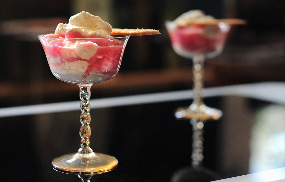 rhubarb fool in delicate stemmed glass dishes, dark background