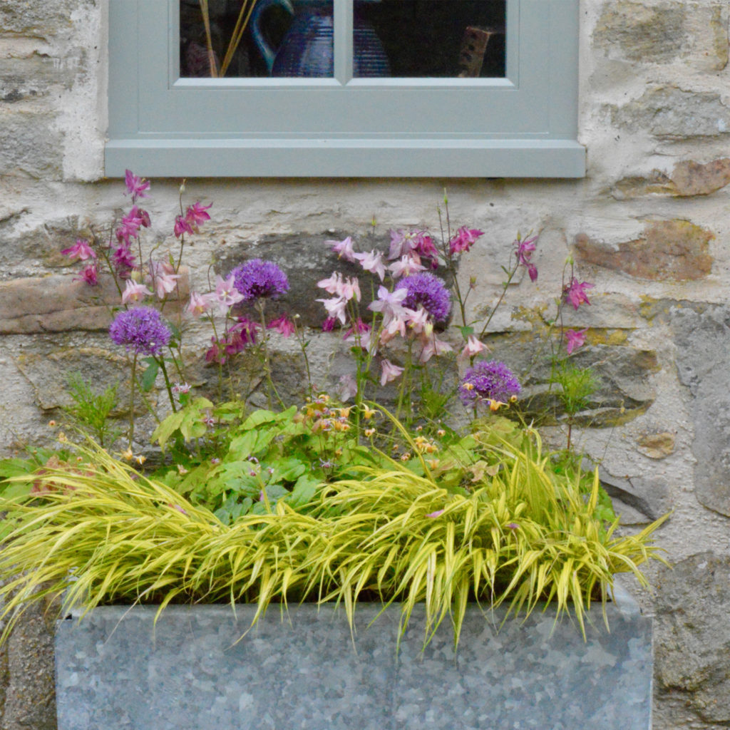 Deep metal trough containing pink flowers and yellow grass, standing against a stone wall under a grey-painted window