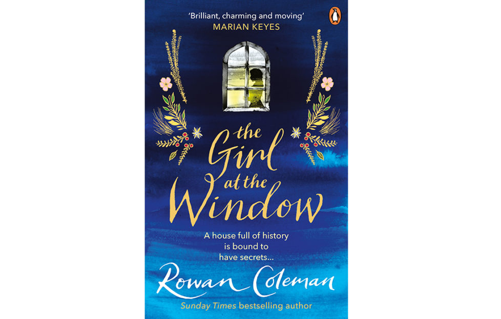The Girl At The Window book cover