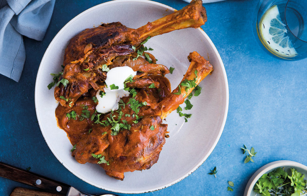 Rogan josh with two pieces of lamb shank, bones sticking out, with sour cream and coriander garnish