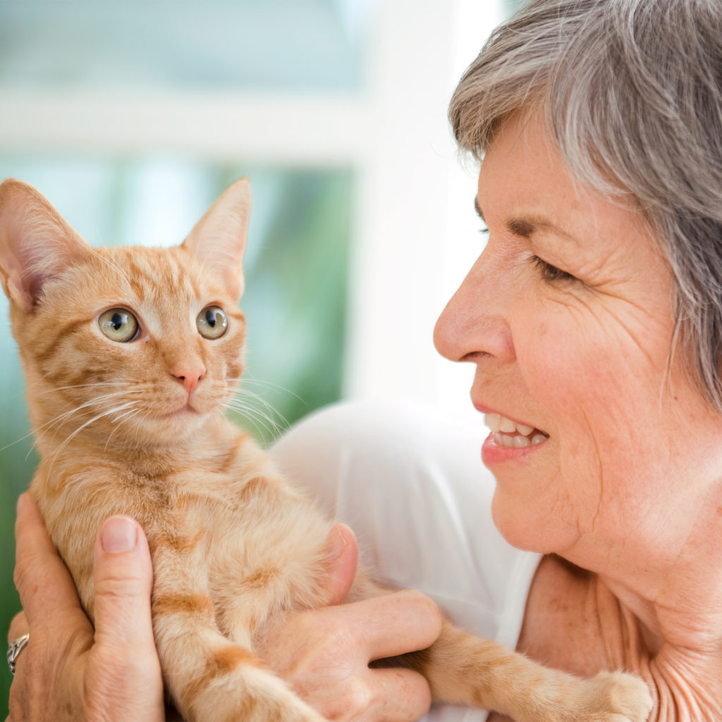 Mature woman holding young ginger cat