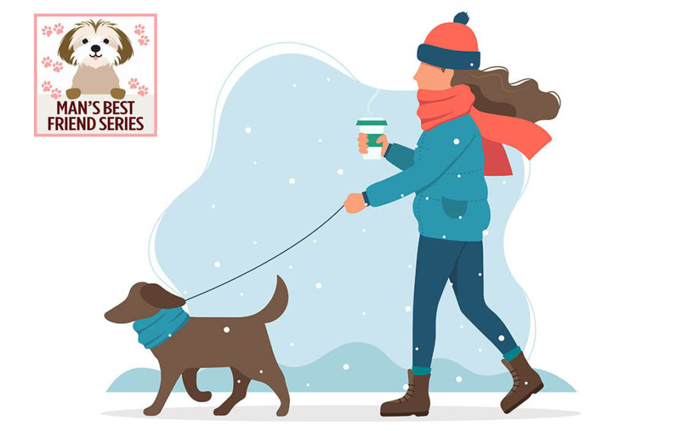 Digital cartoon of woman in hat and scarf walking dog in snow