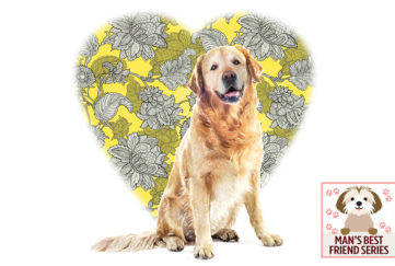 golden retriever, large wallpaper-patterned heart shape behind, love me love my dog