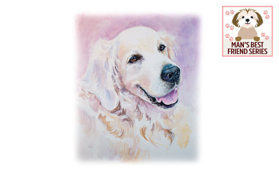 Watercolour portrait of peaceful Golden Retriever