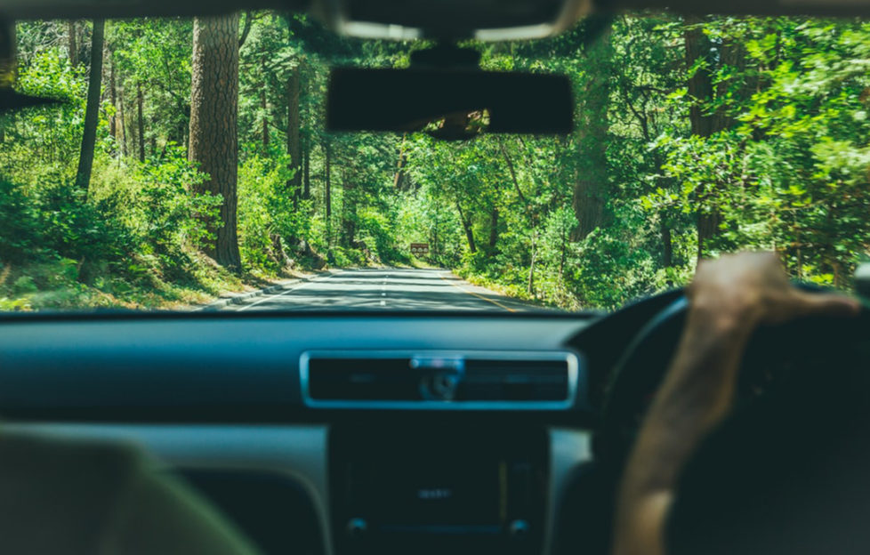 View through a car windscreen of a narrow road between sunlit trees in a wood