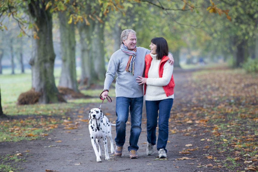 A mature couple walk through a woodland area smiling and laughing to one another while they walk their dalmatian dog. They are wrapped up warm on a cold Autumn day.