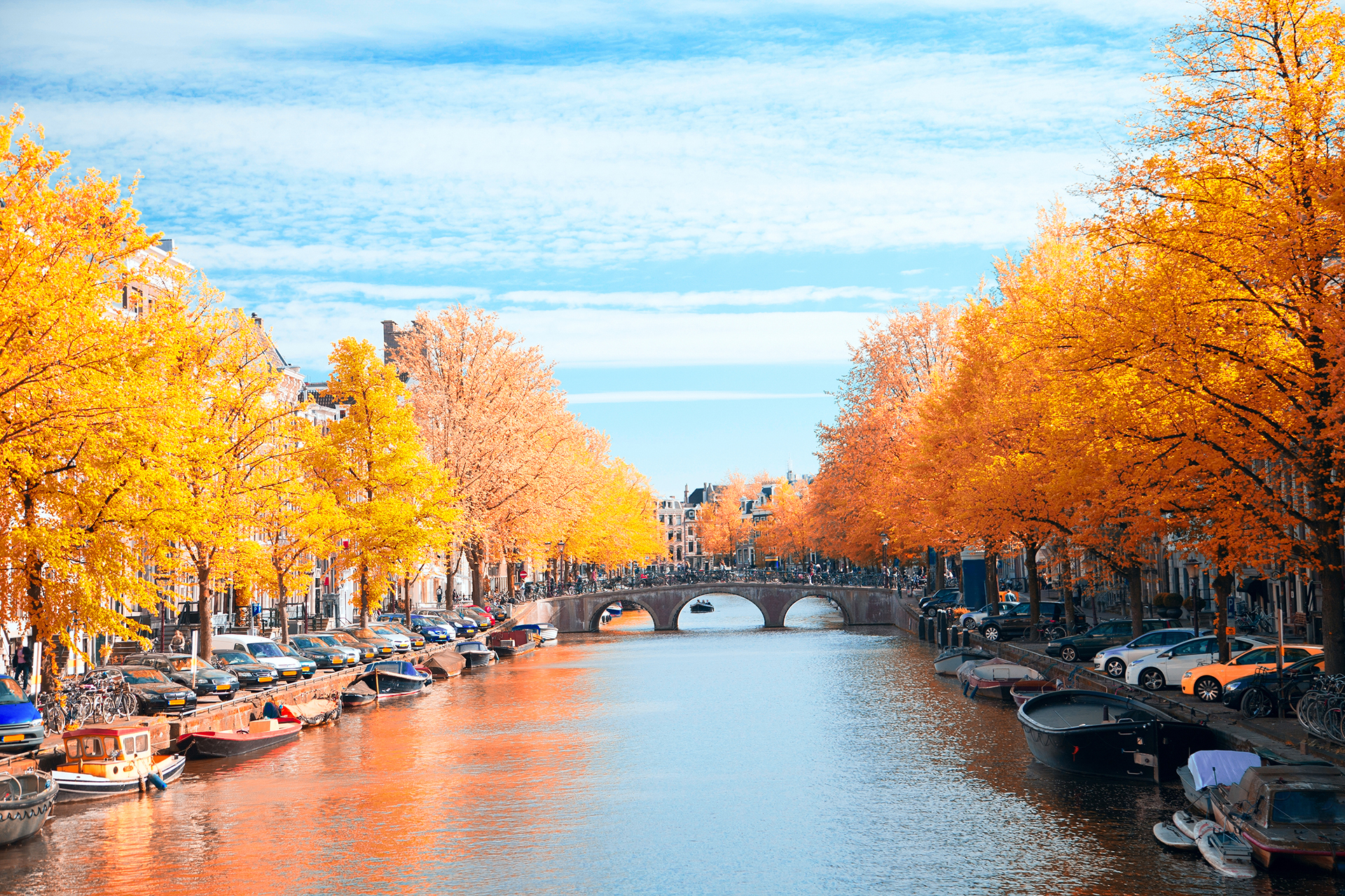 beautiful European capital Amsterdam in the summer. ancient streets and canals.Gold autumn