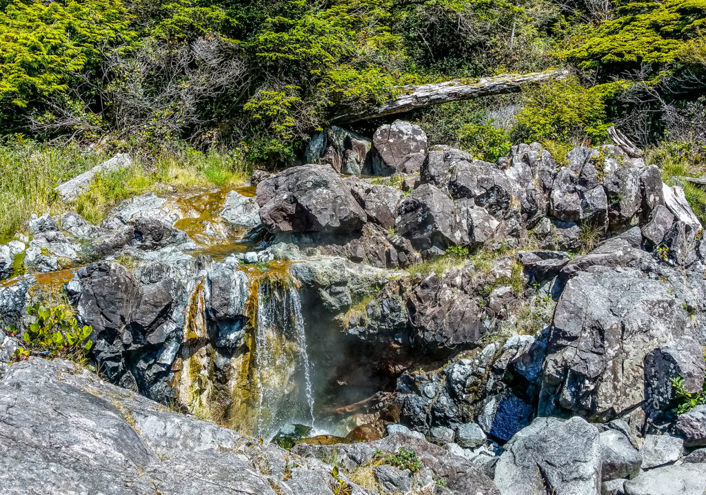 Rocky hillside with trickling waterfall and lush plants