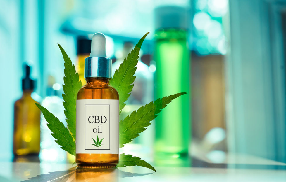 Glass bottle CBD OIL, tincture and cannabis leaf on background laboratory for the production of cannabis oil