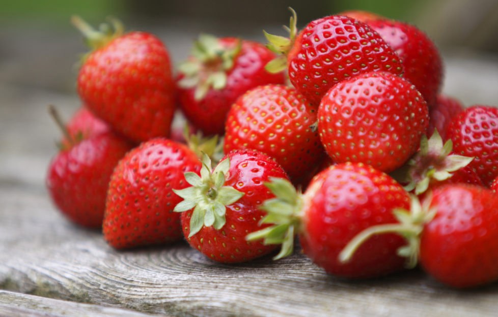 Tumble of Strawberries