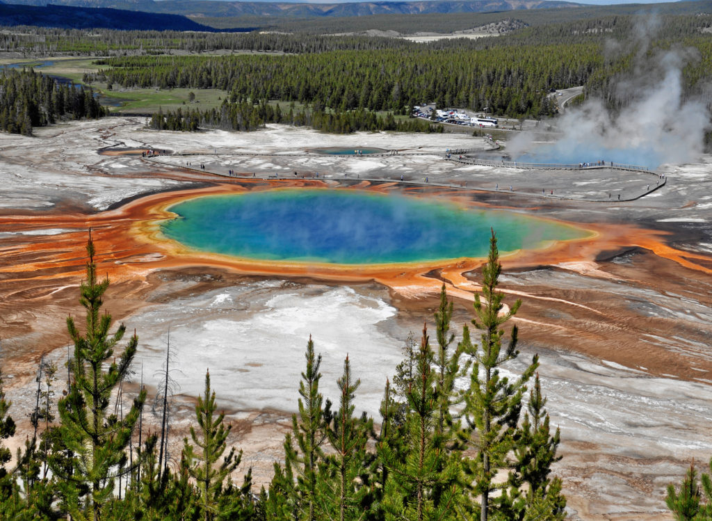 Vivid blue pool surrounded by yellow, orange and white rock, pine forest behind