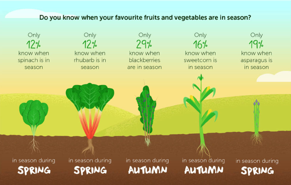 Graphic showing veg and when they are in season