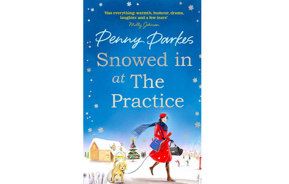 Cover of Snowed In At The Practice