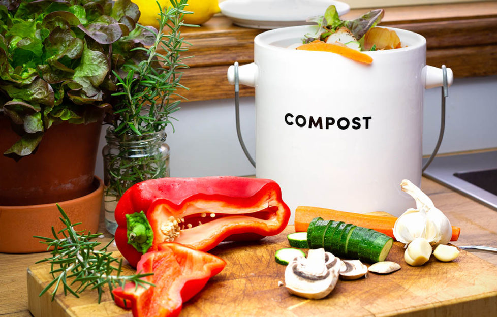 Kitchen compost caddy full of veg peelings, sliced vegetables on chopping board and fresh herbs in jar of water