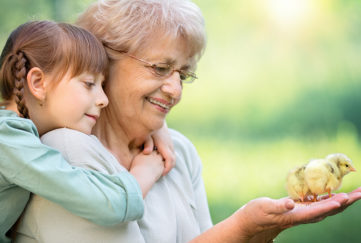Gran holds baby chick in her hand, granddaughter watches, arms round her neck