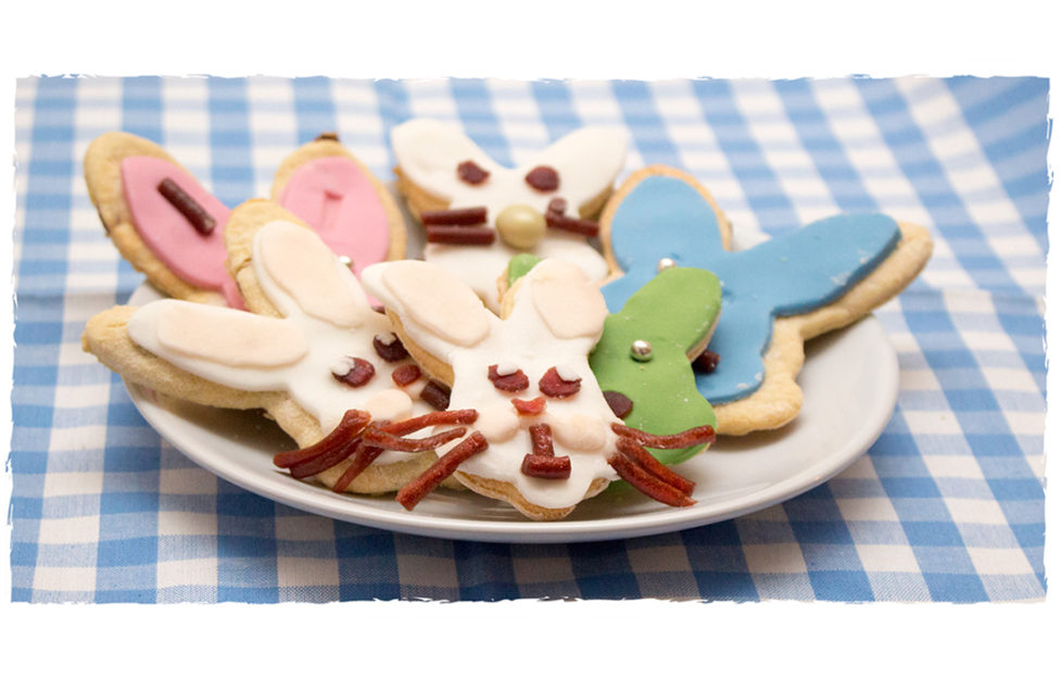 Plate of bunny head shape biscuits with different coloured icing and whiskers etc made out of dried fruit pieces
