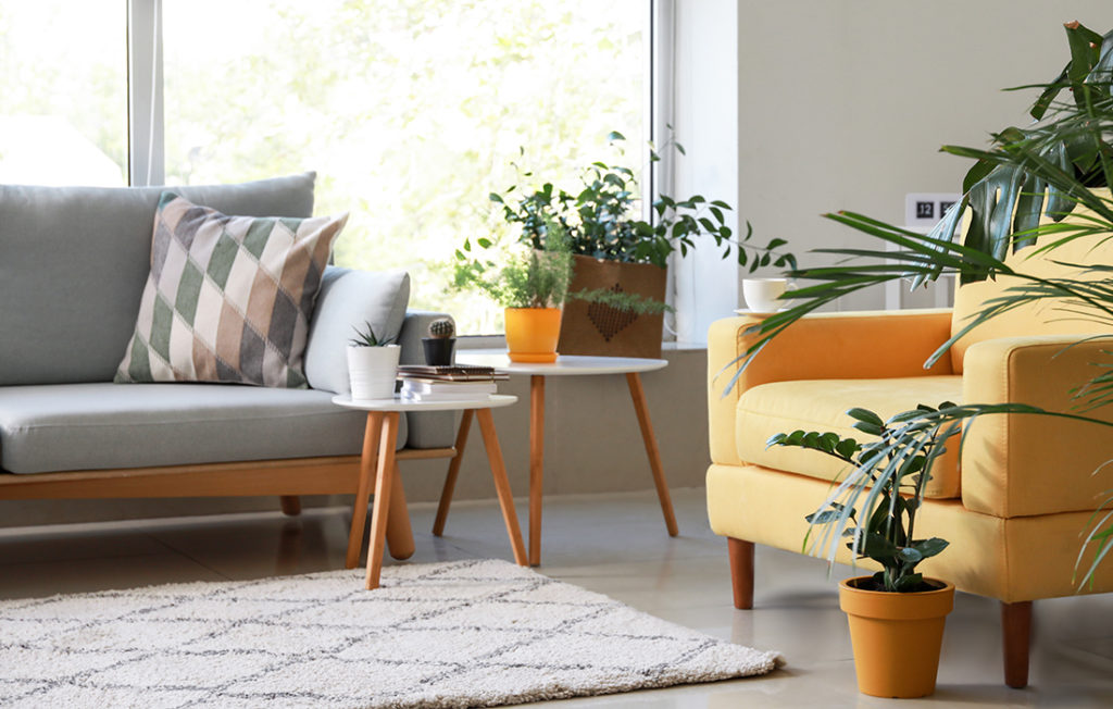 Modern living room, cream shades, with plants