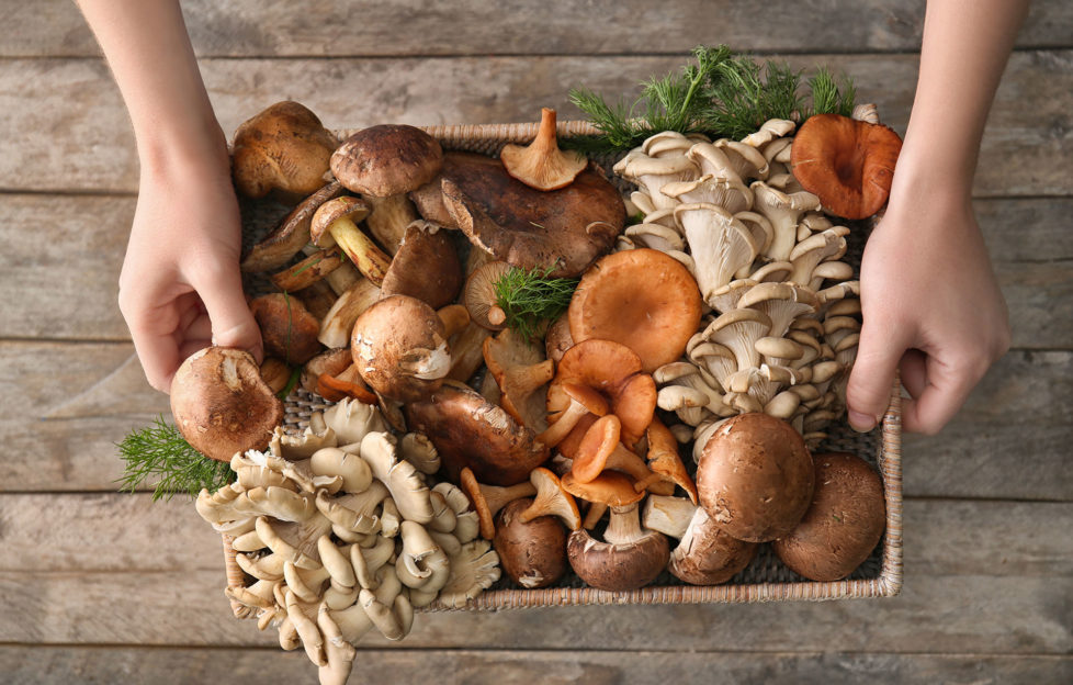 Woman holding wicker tray with variety of raw mushrooms on wooden background