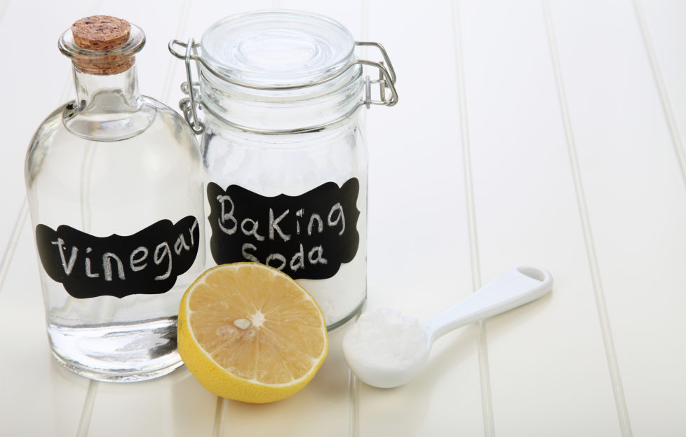 baking soda vinegar and lemon on the white background;