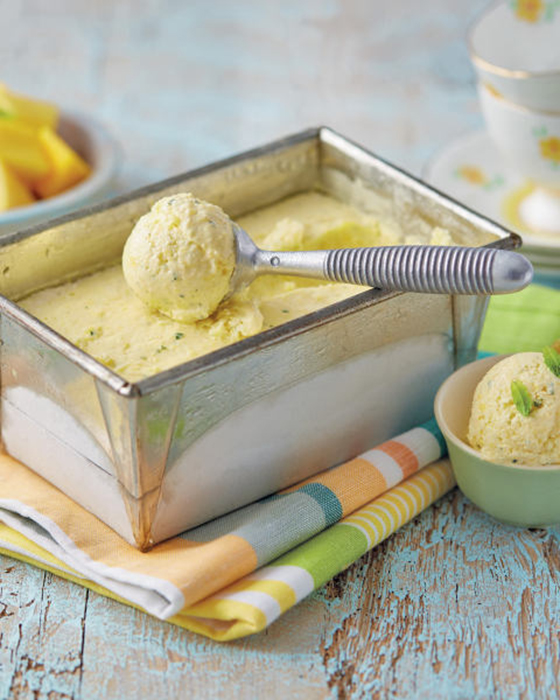 Mango & Mint Frozen Yoghurt