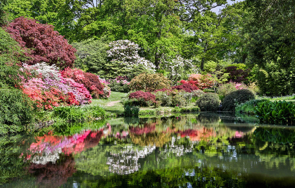 Exbury gardens