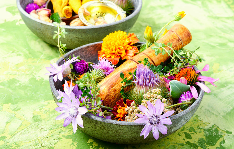 Beautiful dish of marigolds, thistles and other herbal flowers with wooden pestle for grinding them into medicines