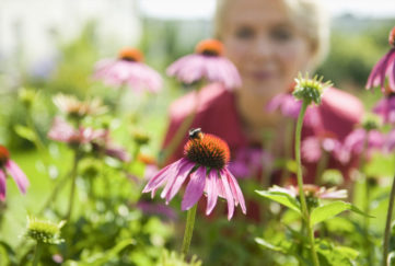 Lady in garden looking at bee Pic: Shutterstock