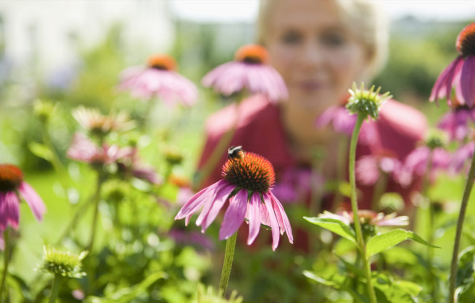 Lady in garden looking at bee Pic: Shutterstock