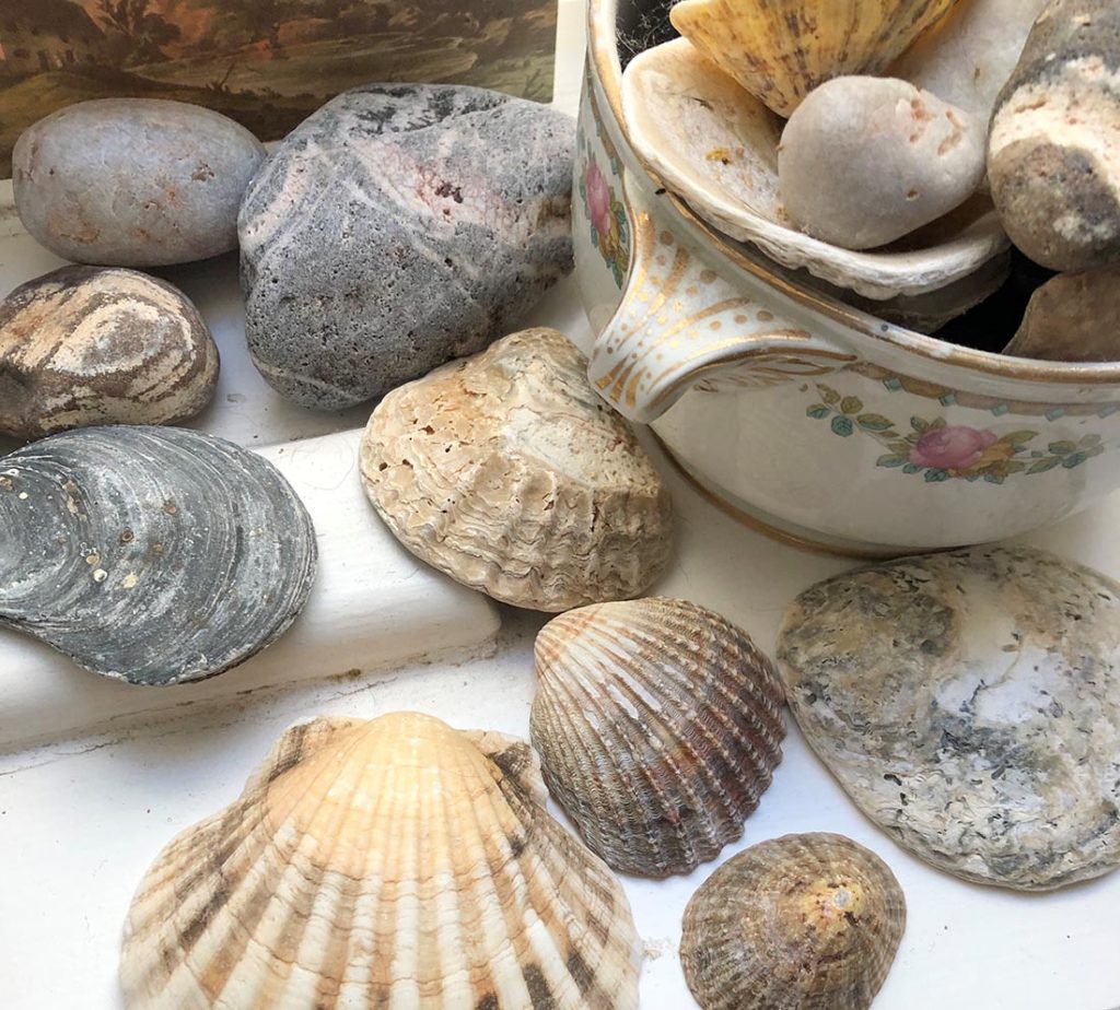 Sea shells