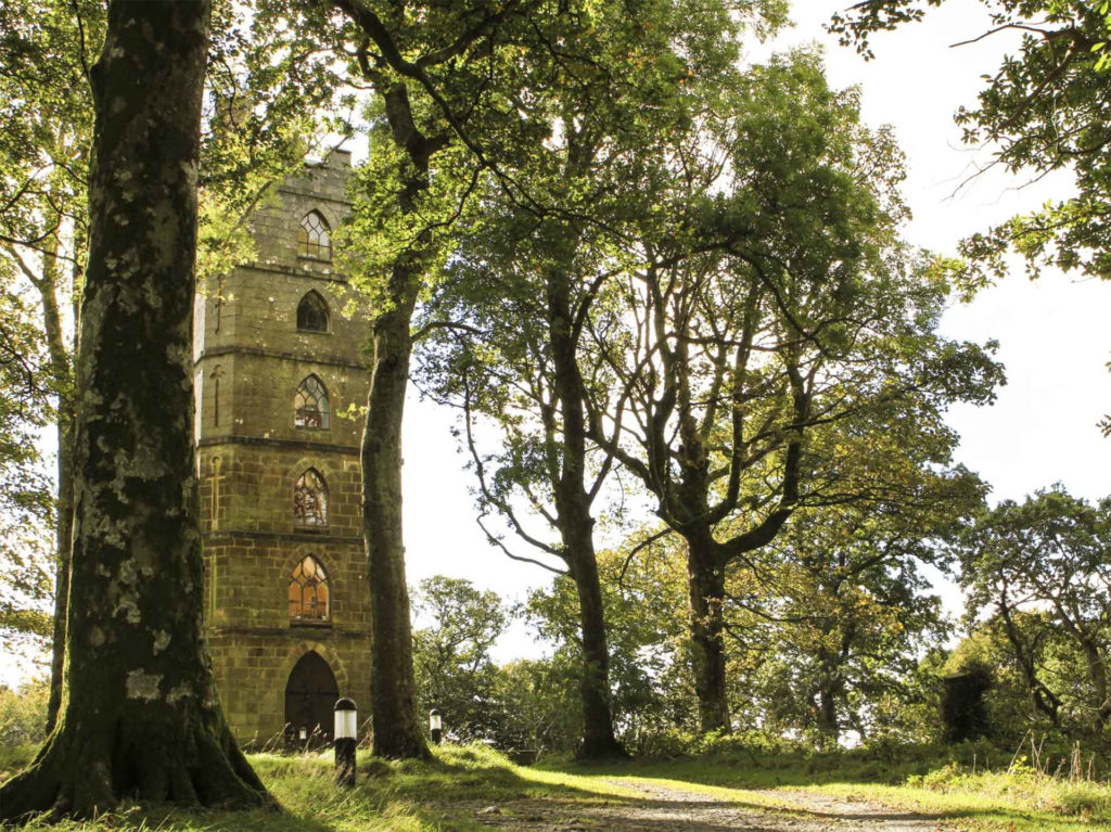 6 storey square stone tower with pointed windows among tall trees