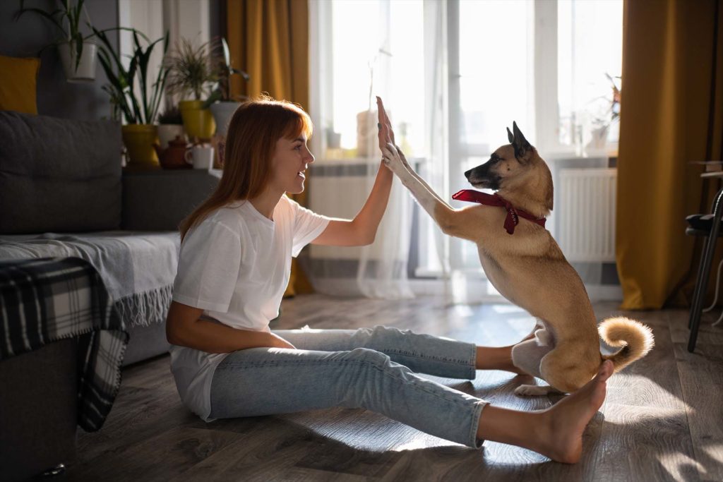 Side view of cheerful female doing high five with cute dog while sitting on floor and playing at home
