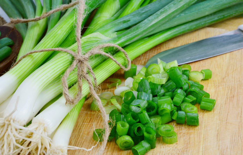 Spring onions are rich in vitamins,minerals and natural compound. Green onions or Spring onions on wooden board cutting.;