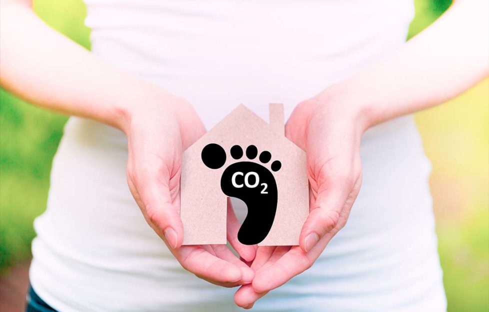Carbon footprint. Sustainability concept. Global environmental responsibility.