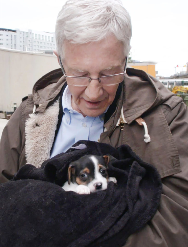 Paul O’Grady’s For the Love of Dogs: Back in Business 