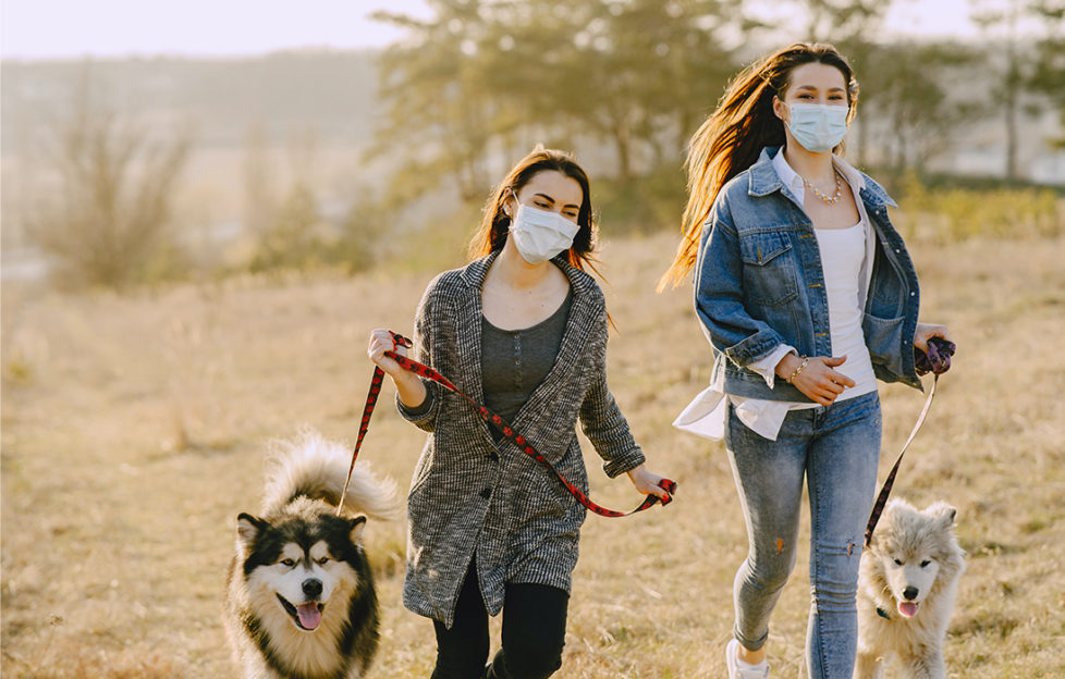 2 young women wearing face masks walking husky type dogs across a field