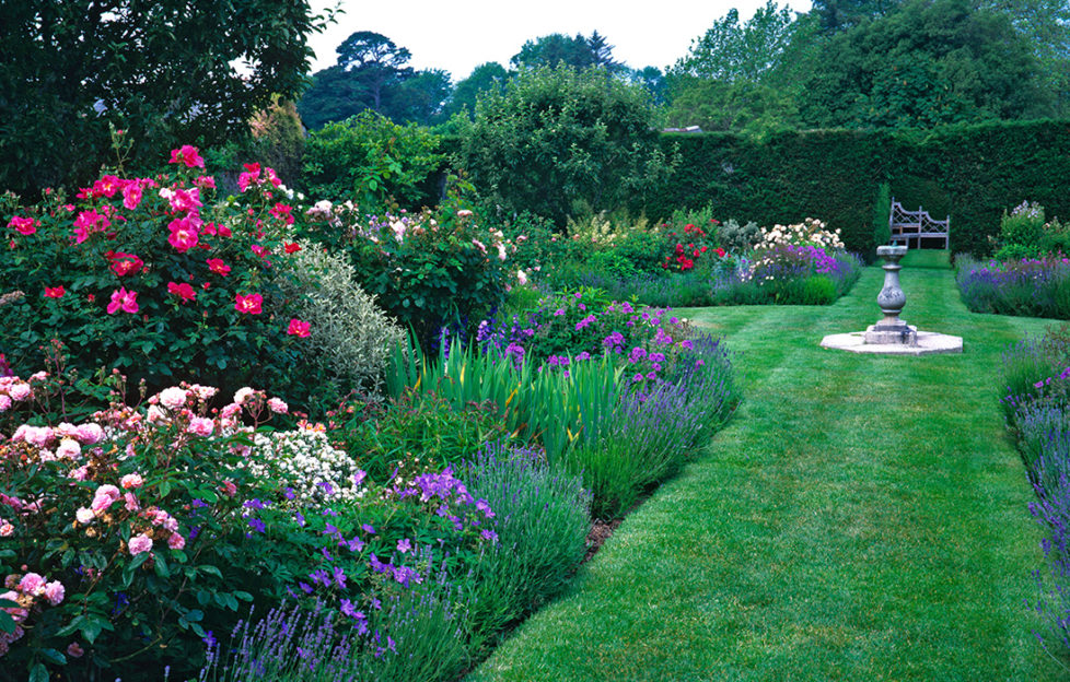 Mounds of plants in border edged with lavender, grassy path leading to sundial and bench